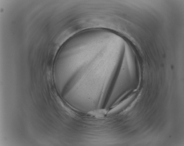 X0000076101513200610061654