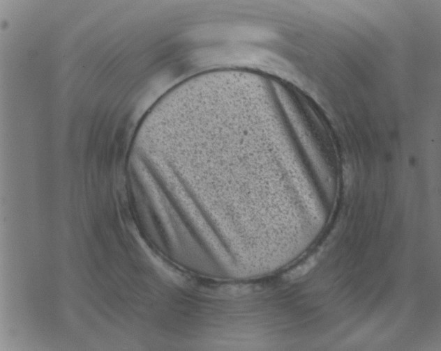 X0000076101521200610061654