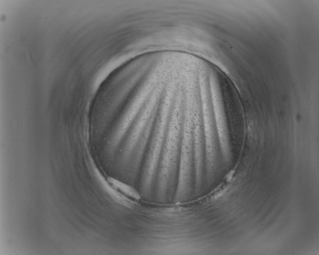 X0000076101523200610061654