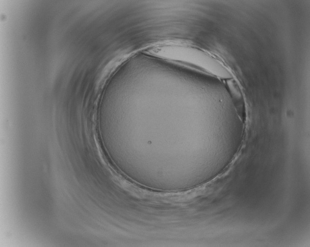 X0000076100001200610152355