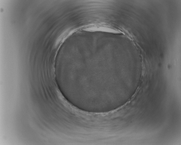 X0000076100002200610152355