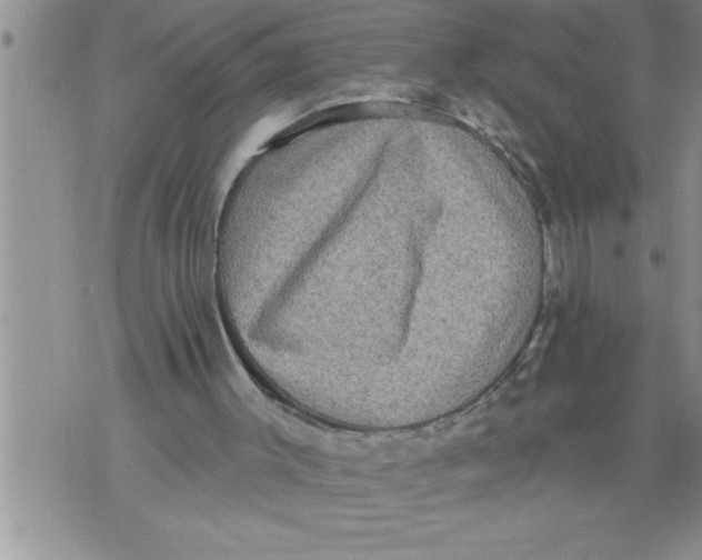 X0000076100003200610152355