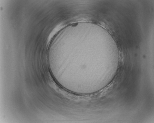 X0000076100004200610152355