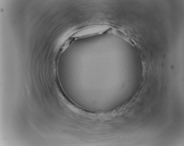 X0000076100005200610152355