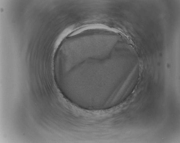 X0000076100006200610152355