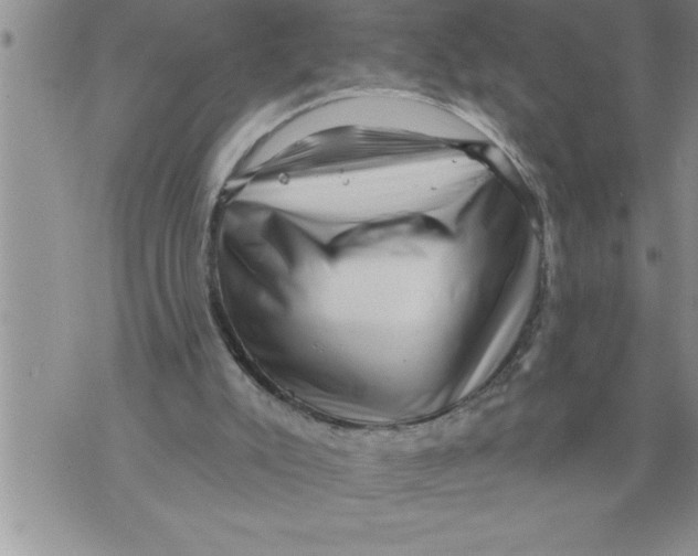 X0000076100007200610152355