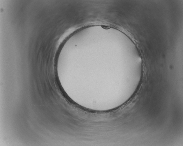 X0000076100008200610152355