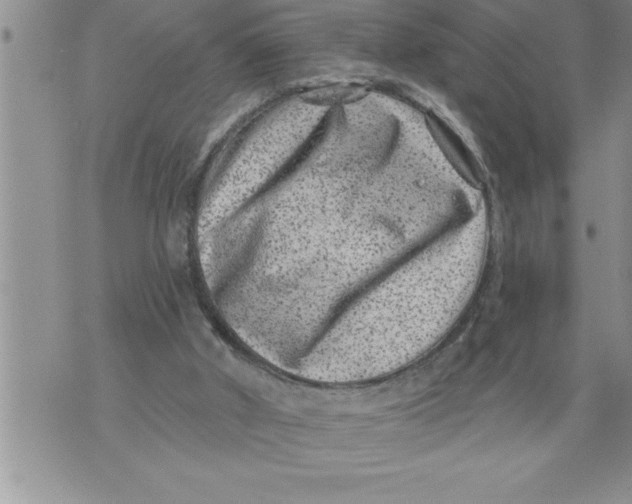 X0000076100010200610152355