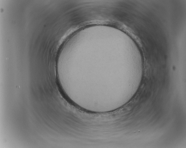 X0000076100011200610152355