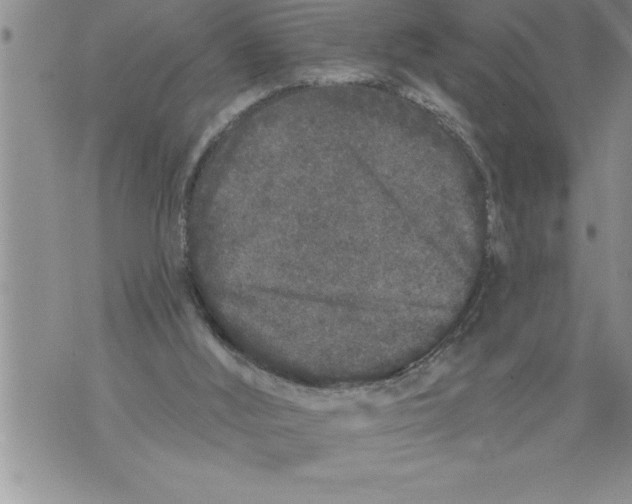 X0000076100012200610152355