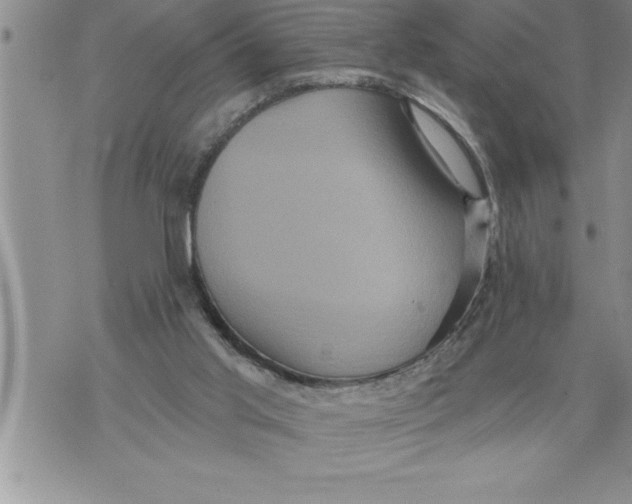 X0000076100013200610152355