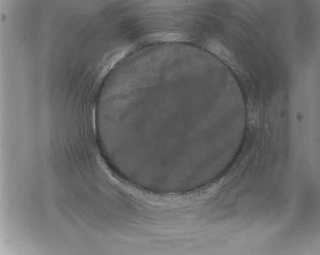 X0000076100014200610152355