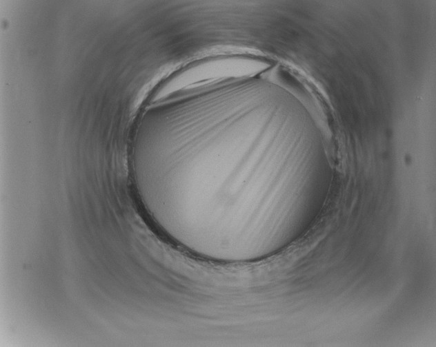 X0000076100015200610152355