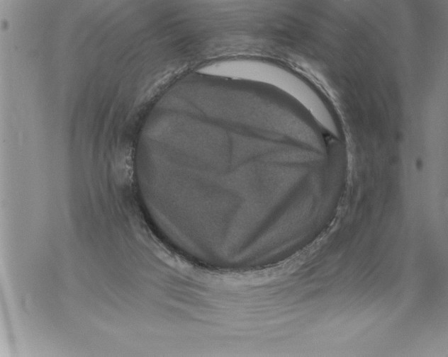 X0000076100017200610152355