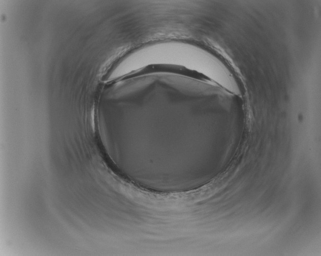 X0000076100019200610152355