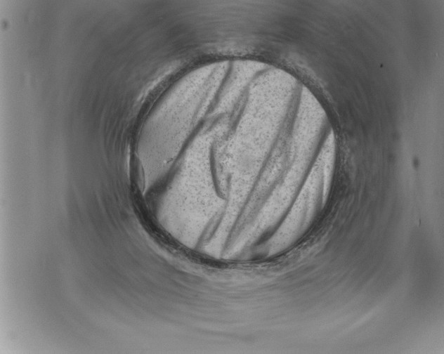 X0000076100020200610152355