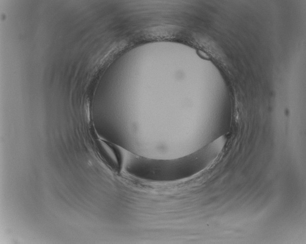 X0000076100021200610152355