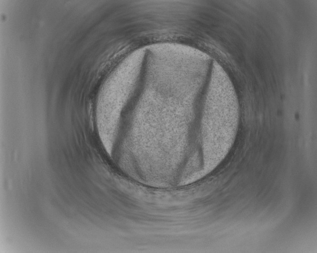 X0000076100022200610152355