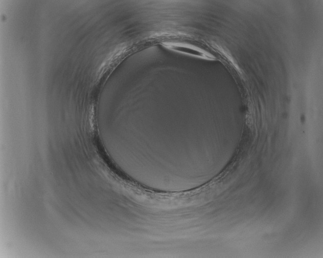 X0000076100023200610152355