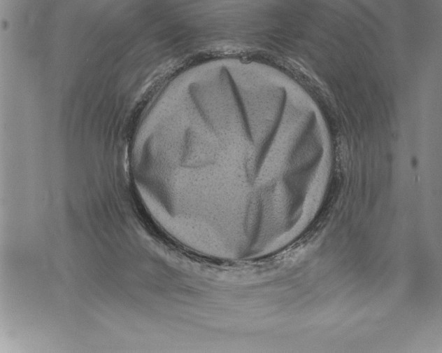 X0000076100024200610152355