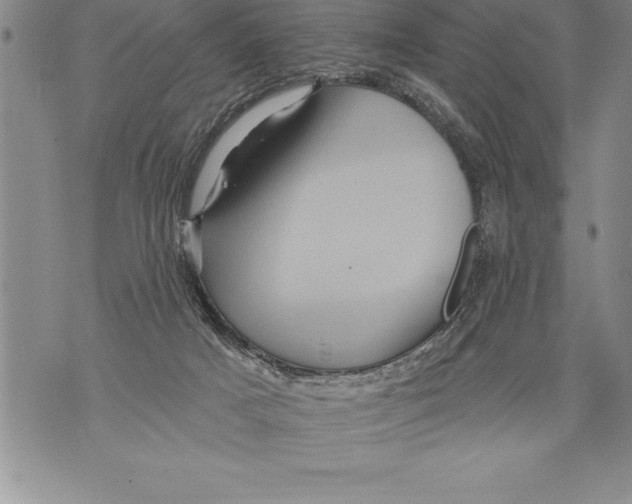 X0000076100025200610152354