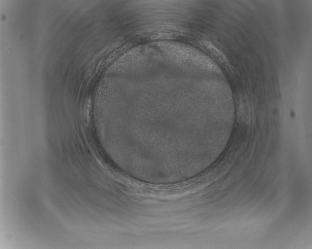 X0000076100026200610152354