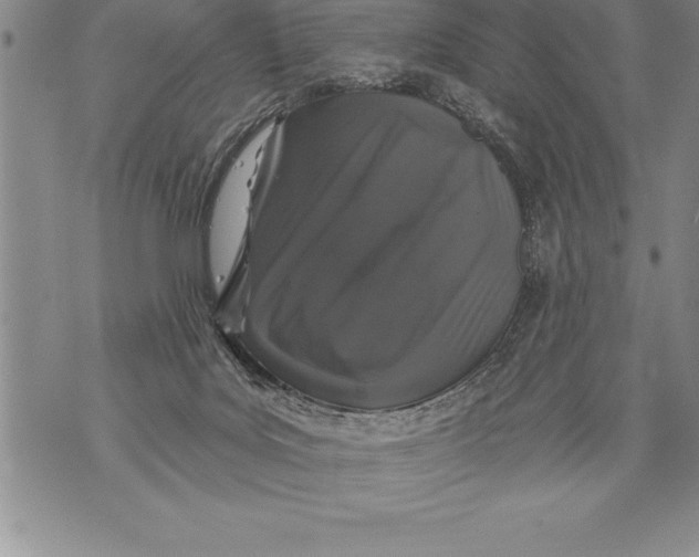 X0000076100027200610152354