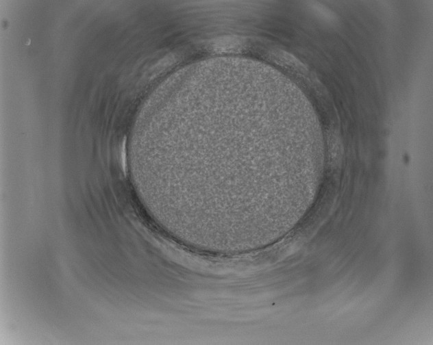 X0000076100028200610152354