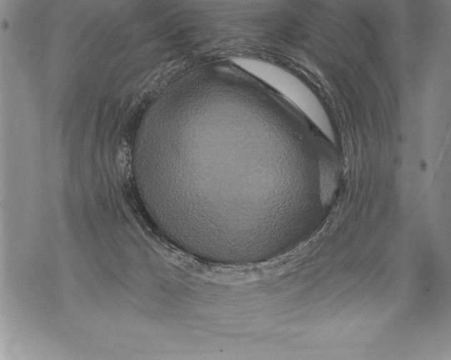 X0000076100029200610152354