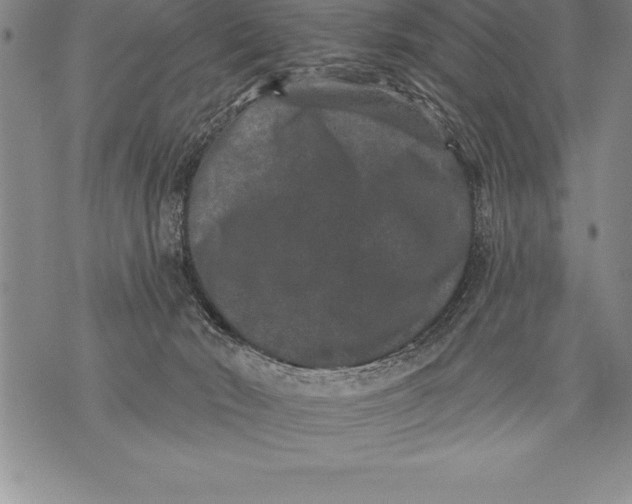 X0000076100030200610152354