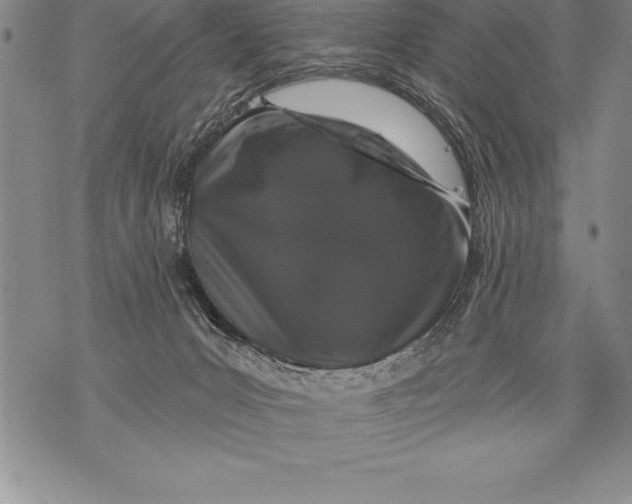 X0000076100031200610152354