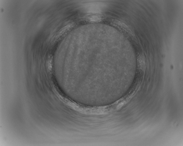 X0000076100032200610152354