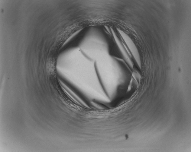 X0000076100033200610152354