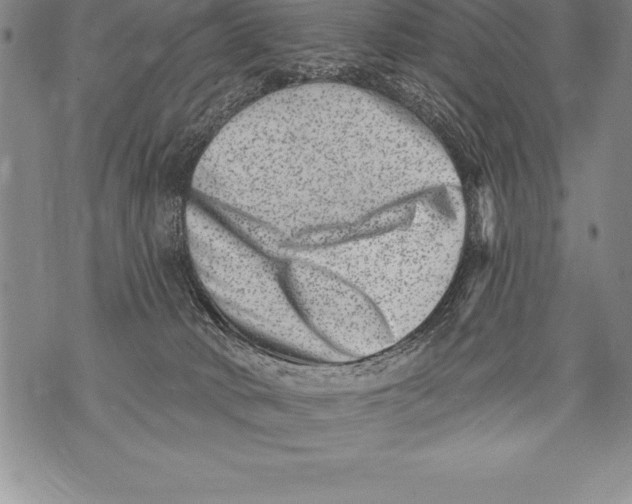 X0000076100034200610152354