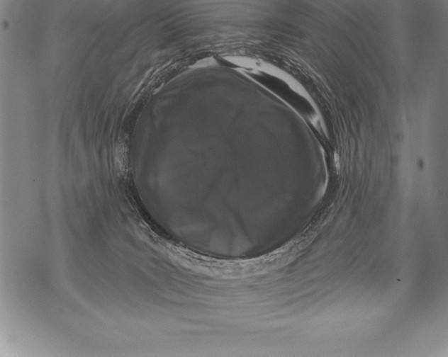 X0000076100035200610152354