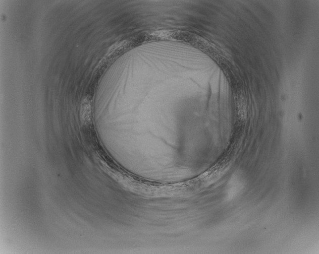 X0000076100036200610152354