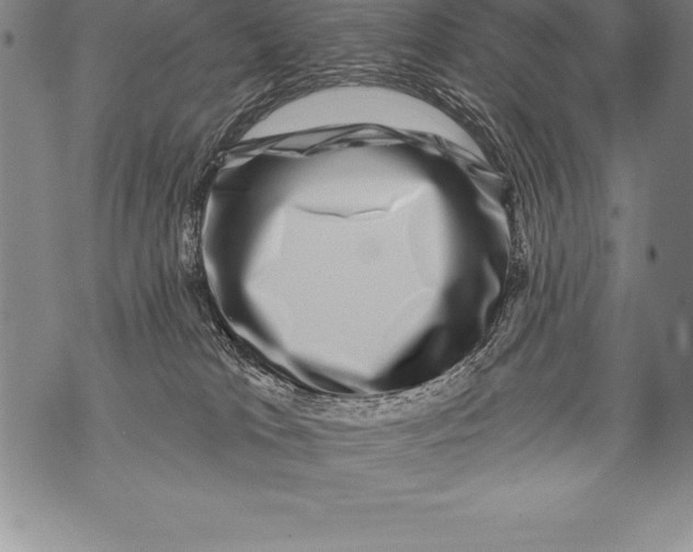 X0000076100037200610152354