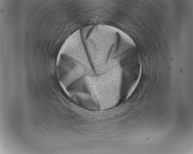 X0000076100038200610152354