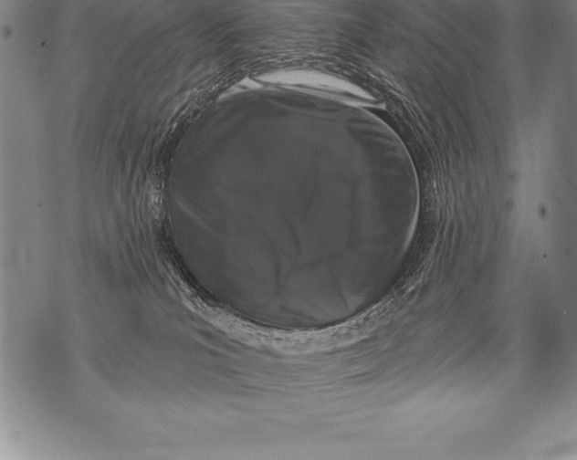 X0000076100039200610152354