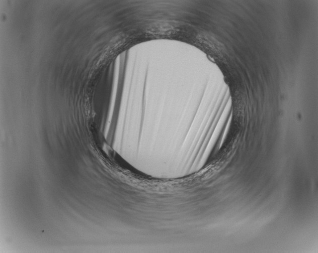 X0000076100040200610152354