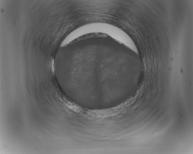 X0000076100041200610152354