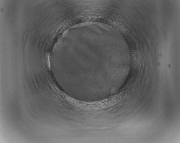 X0000076100042200610152354