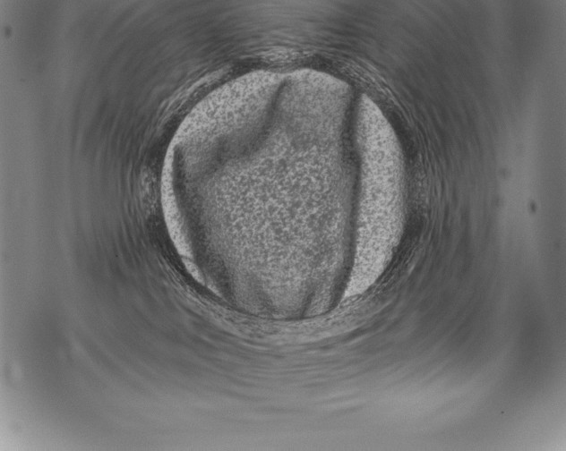 X0000076100043200610152354