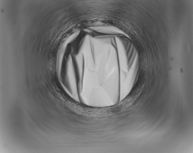 X0000076100044200610152354