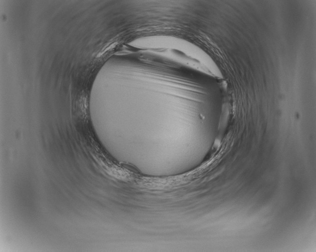 X0000076100045200610152354