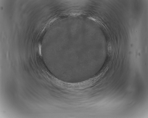 X0000076100046200610152354