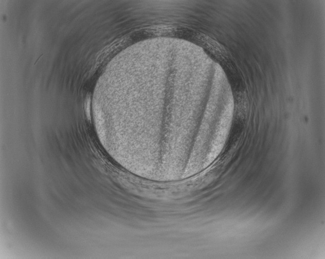 X0000076100047200610152354