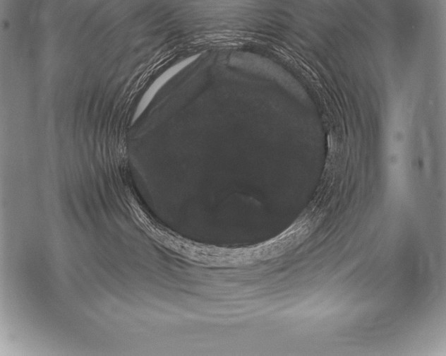 X0000076100048200610152354