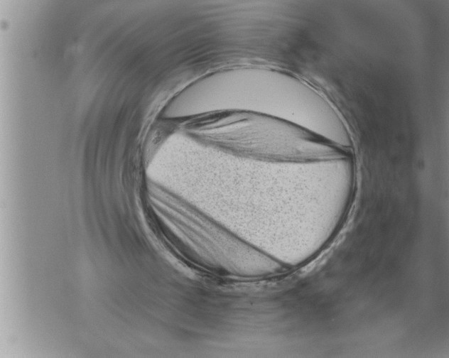 X0000076100049200610152353