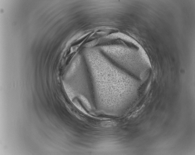 X0000076100050200610152353